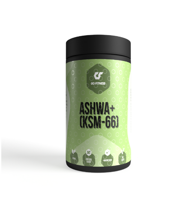 Ashwa-1
