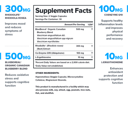LEGION VITALITY – NATURAL WELLNESS & STRESS‑RESILIENCE FORMULA 30 SERV